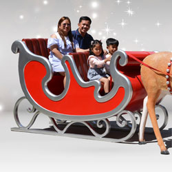 Four-seater Sleigh