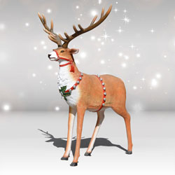 Life-size Reindeer